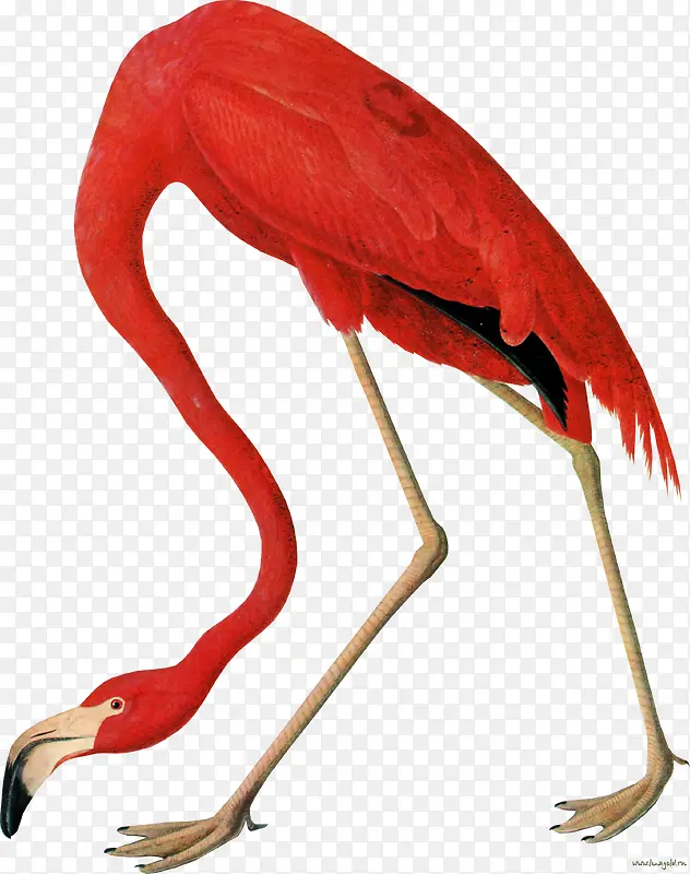 �ֻ涯�ﶯ���ز�-������