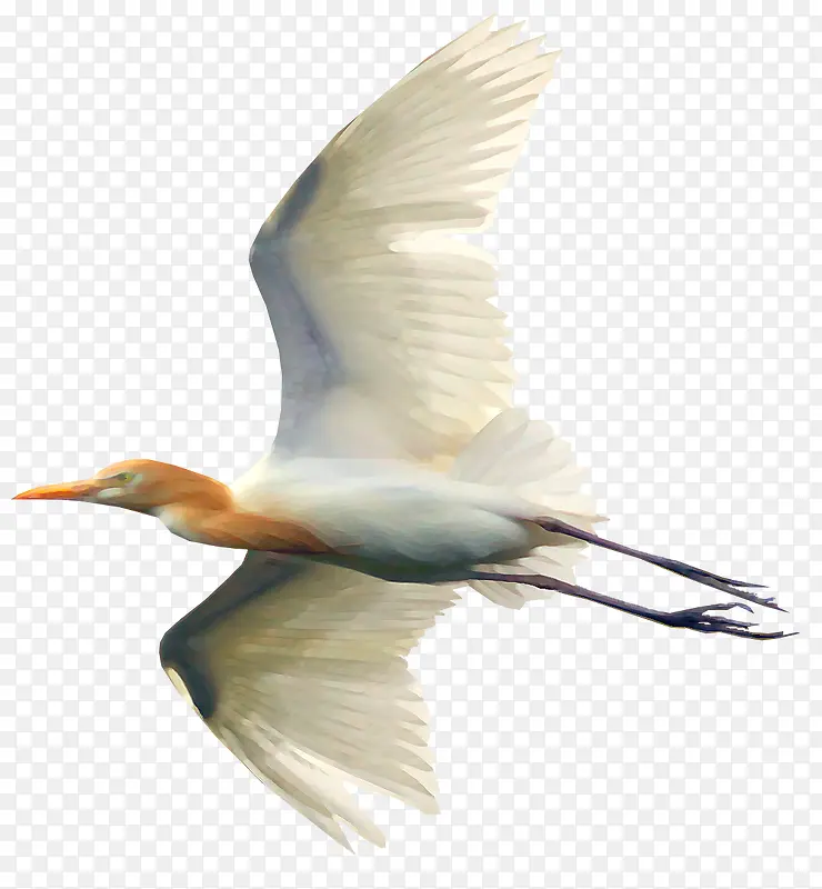 ����廭�ֻ涯���ز�-������