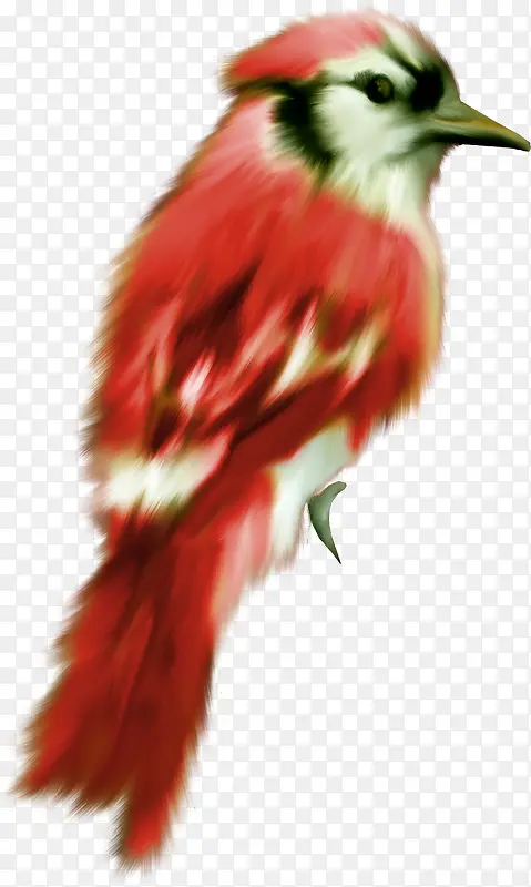 ��ͨ����ͼƬ�����ز�-������