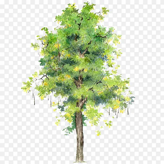 ��ͨ��ľ�ز���ľ����-������