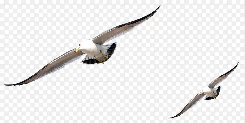 �����زĿ�ͨ����Ԫ��-������