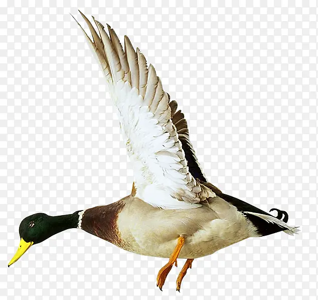 ��ͨ�����زĿ�ͨ�����ز�-������