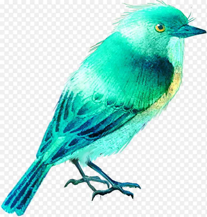 �ֻ涯��ͼƬ����ͼƬ ˮ��С��-������