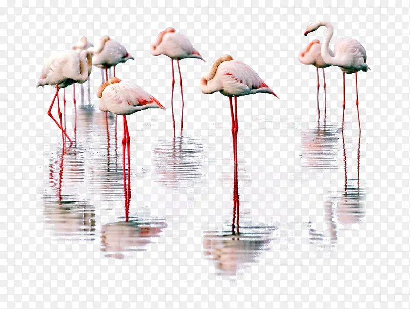 �ֻ涯��Ԫ�ض���ͼƬ-������