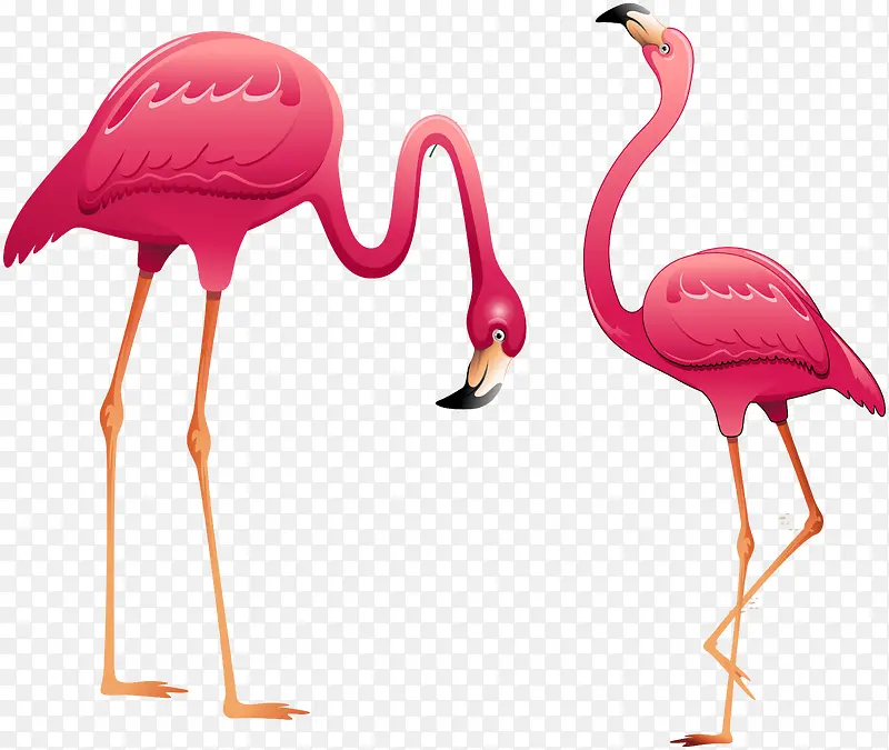 ��ͨ���￨ͨ����Ԫ��-������