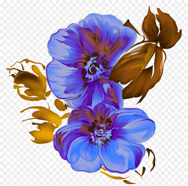 ˮ�ʻ�-������