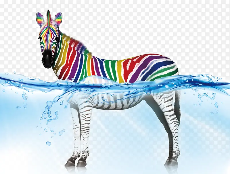 ˮ�в�ɫ����-������