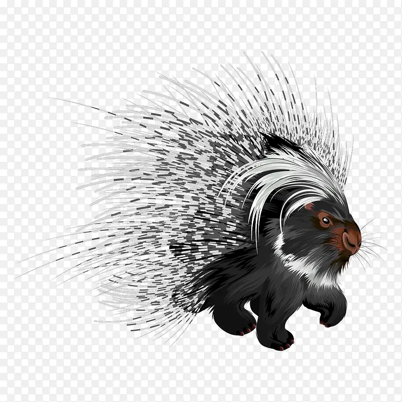 ����С����-������