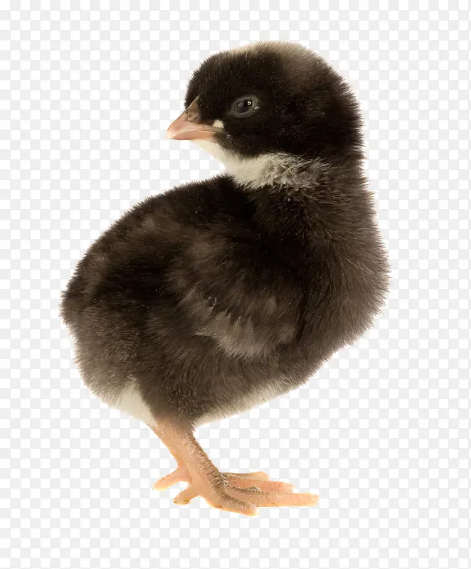 ������д-������