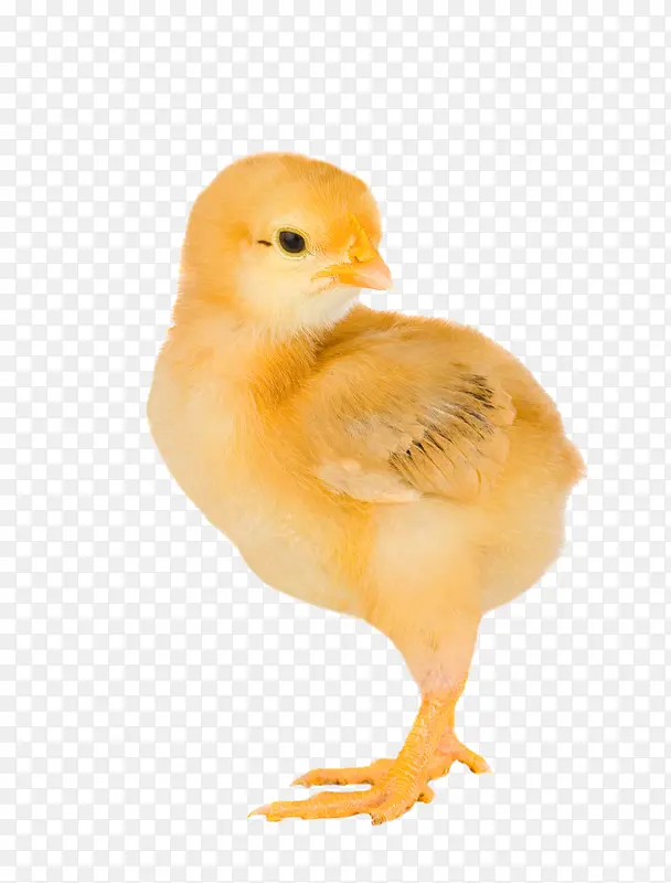 ������д-������