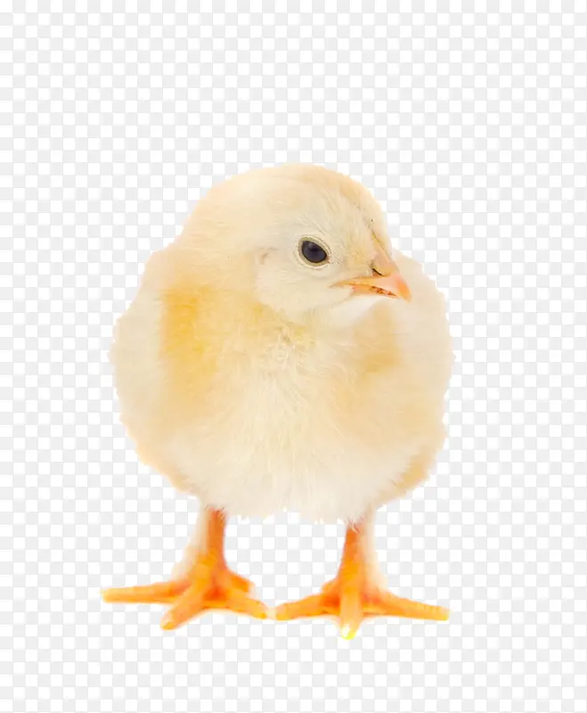 ������д-������