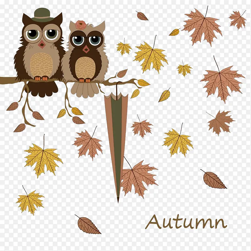 ��ֻèͷӥ-������