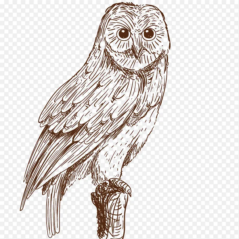 ʸ��èͷӥ-������