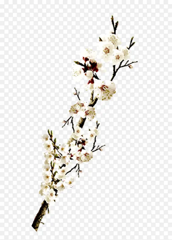 �����ʻ�-������