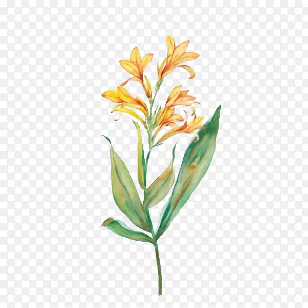 ���˽��廭-������