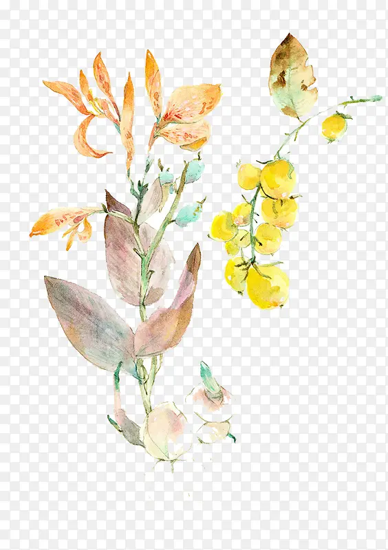 �Ͳ˻��廭-������