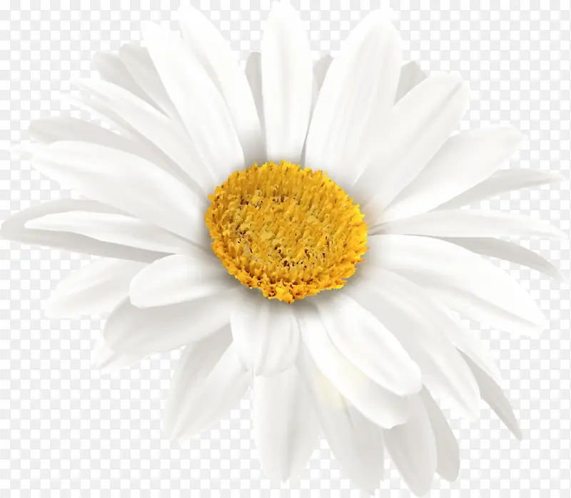 ��ů������ɫ���տ�-������