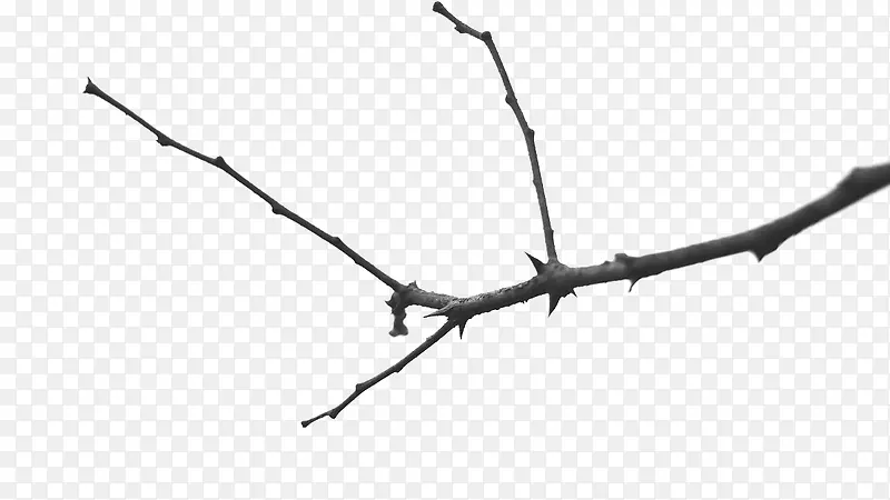 ��ɫ��֦-������