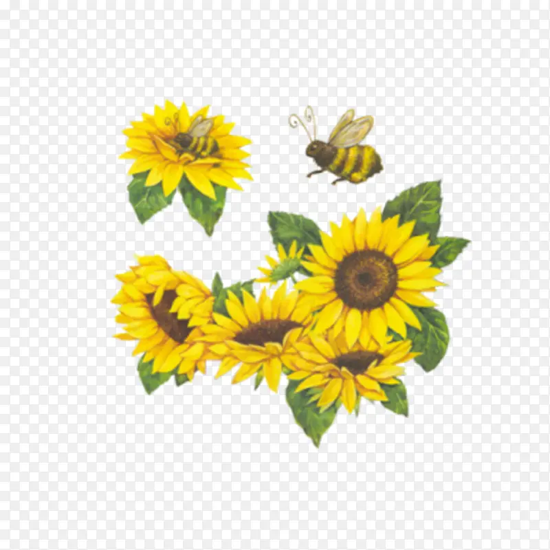 ���տ���С�۷�Ĳ廭-������