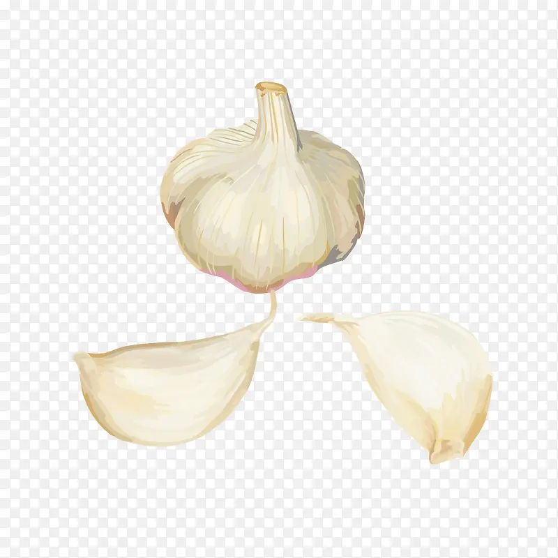 �ֻ濨ͨʳ������ز�-������