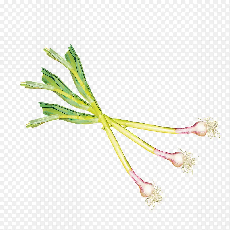 �ֻ�������ɫʳ�����-������