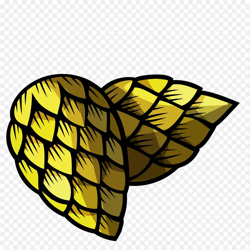 ��ͨ�߲˻�ɫ����-������