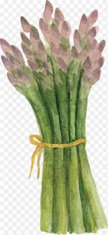 ˮ��«��-������