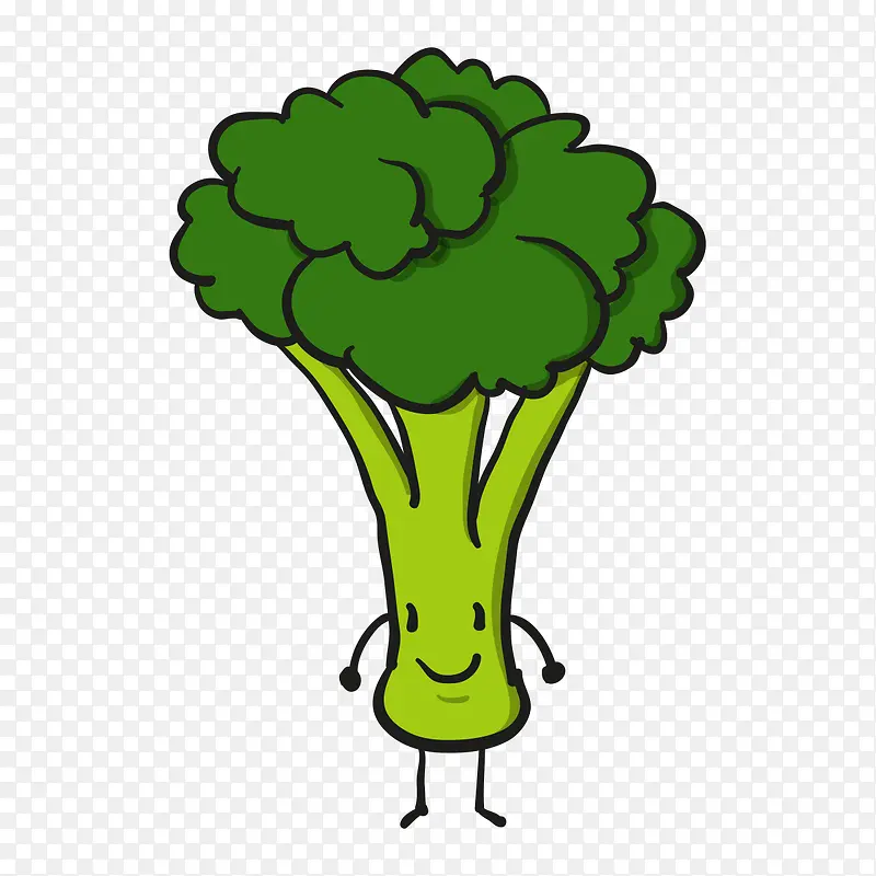 ��ͨ������-������