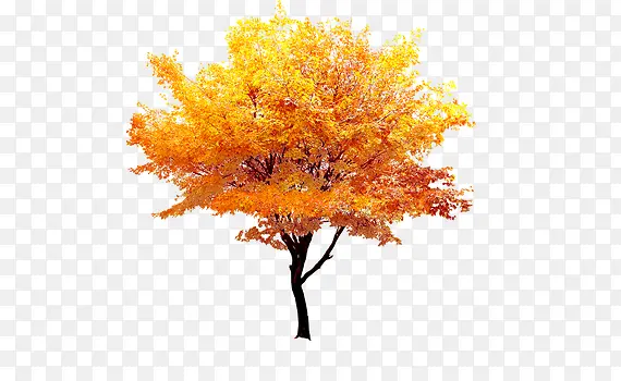 ��-������