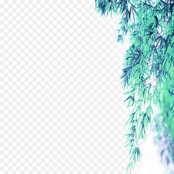 �ֻ���Ҷ-������