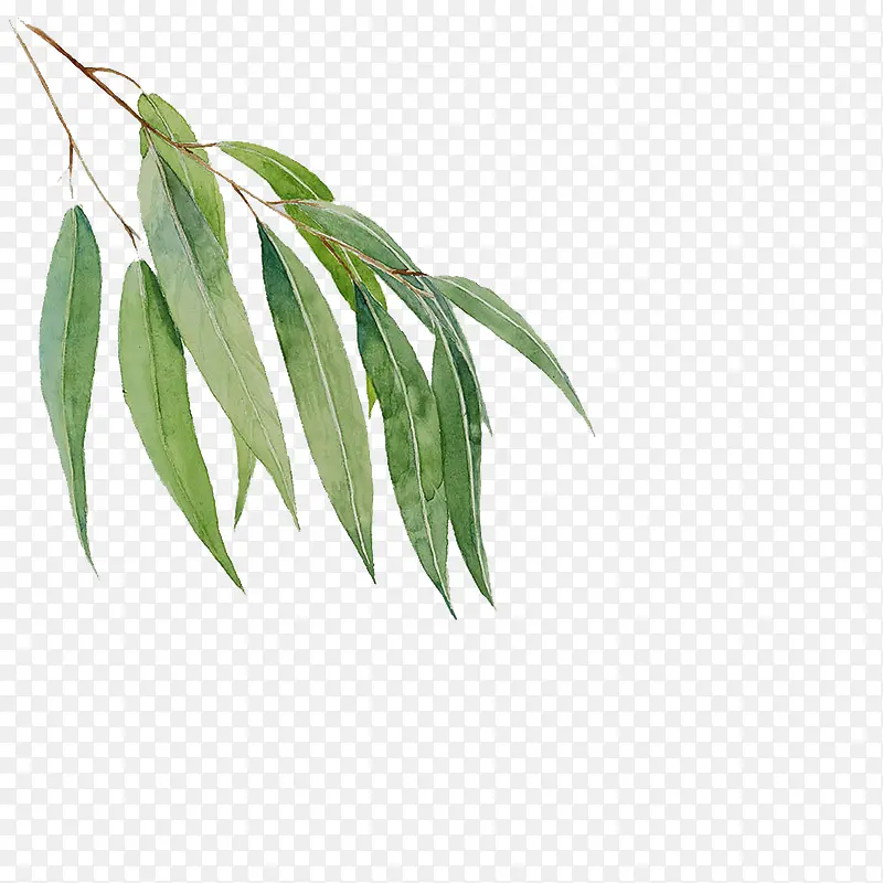 �ֻ�-������