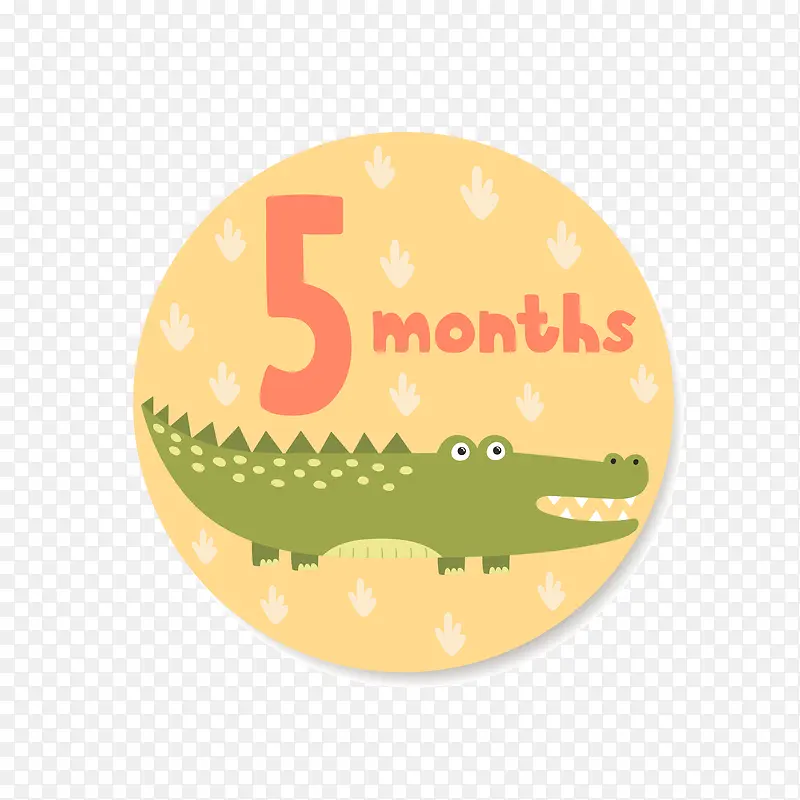 ��������5����ز�-������