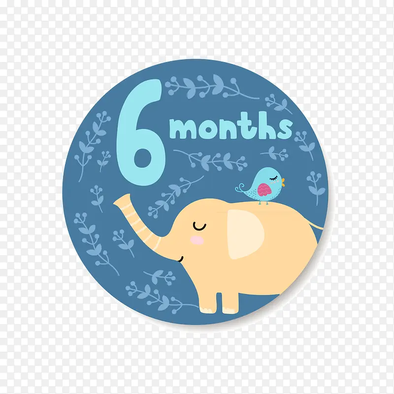 ��������6����ز�-������