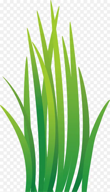 ��ɫ����ɫ����С��-������