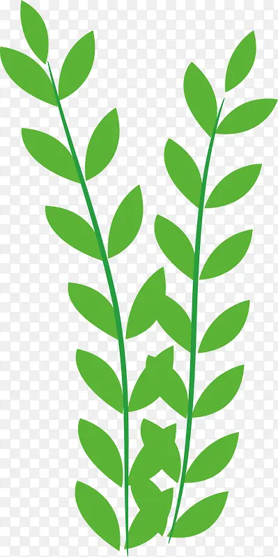 Ҷ����ɫ����С��-������