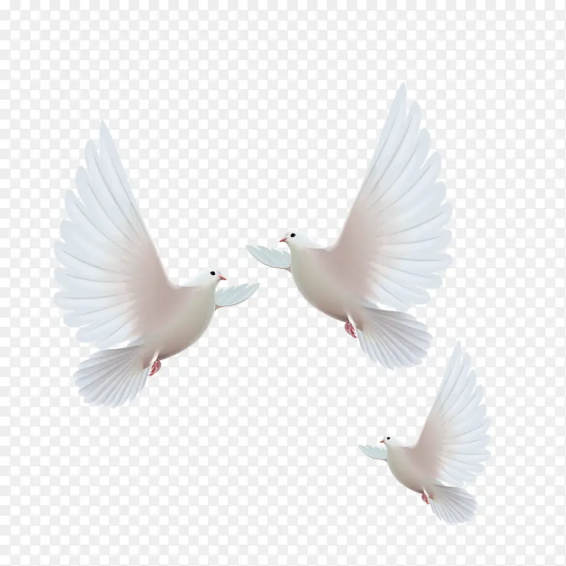 �ֻ��ɫ��С�������-������