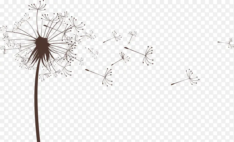 �ѹ�Ӣ����-������