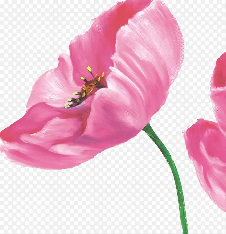 �����ͻ�-������