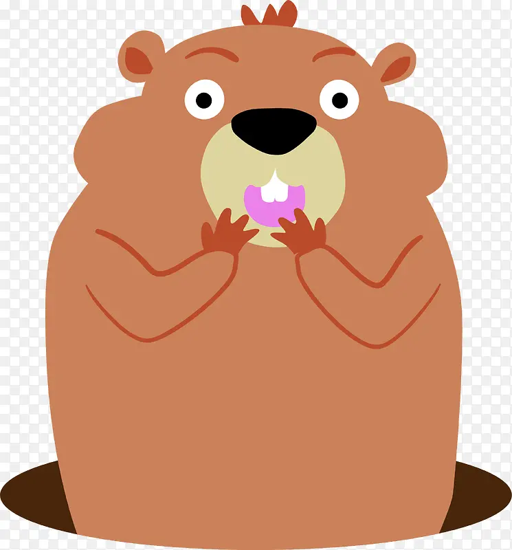 ��ͨ����-������