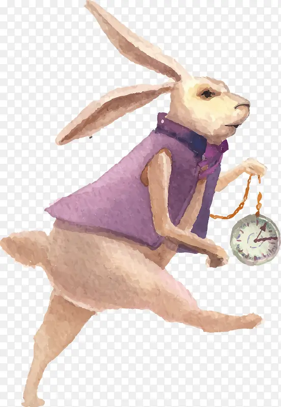 �ʻ�����-������