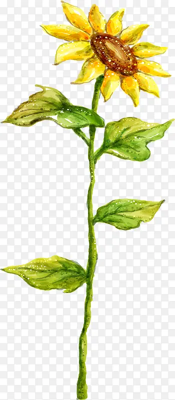 ���տ�����羰ˮ�ʻ�-������