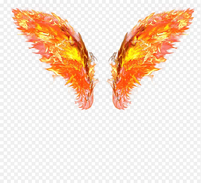 ȼ�յĳ��-������