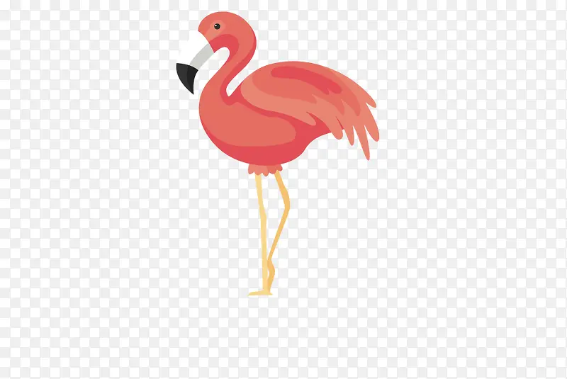 ��ͨ�ɰ�С����װ����ƶ���ͷ��-������