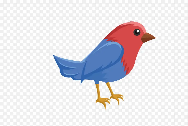 ��ͨ�ɰ�С����װ����ƶ���ͷ��-������