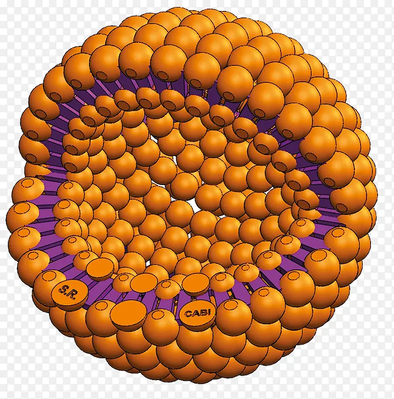 ����΢������-������