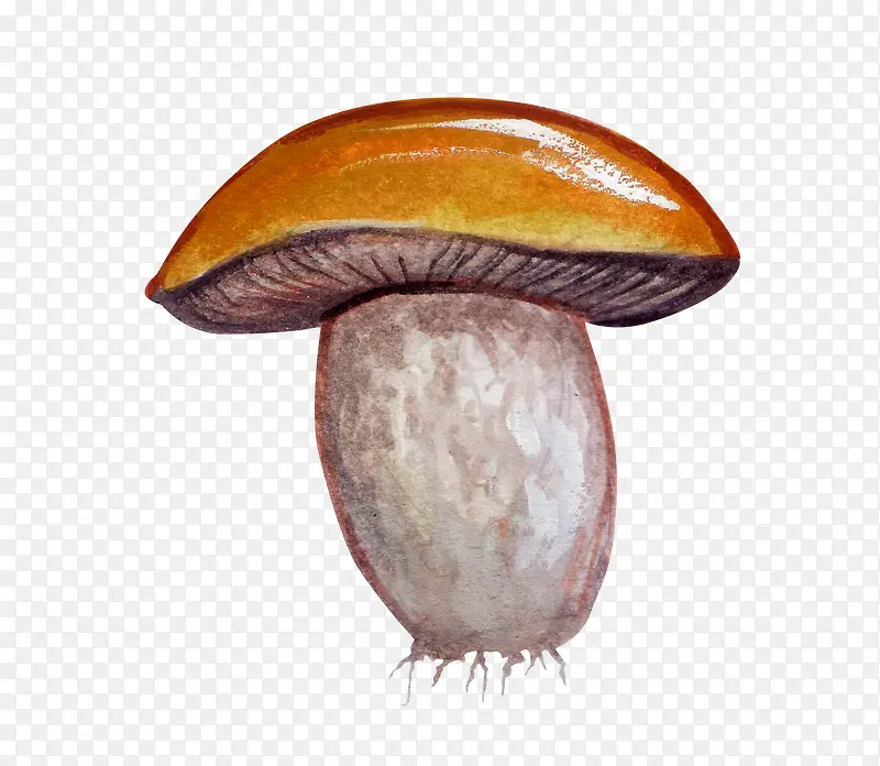 �ֻ��㹽-������