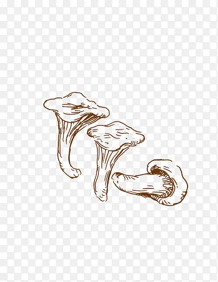 Ģ��-������