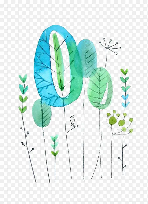 ��ɫֲ���ز�-������