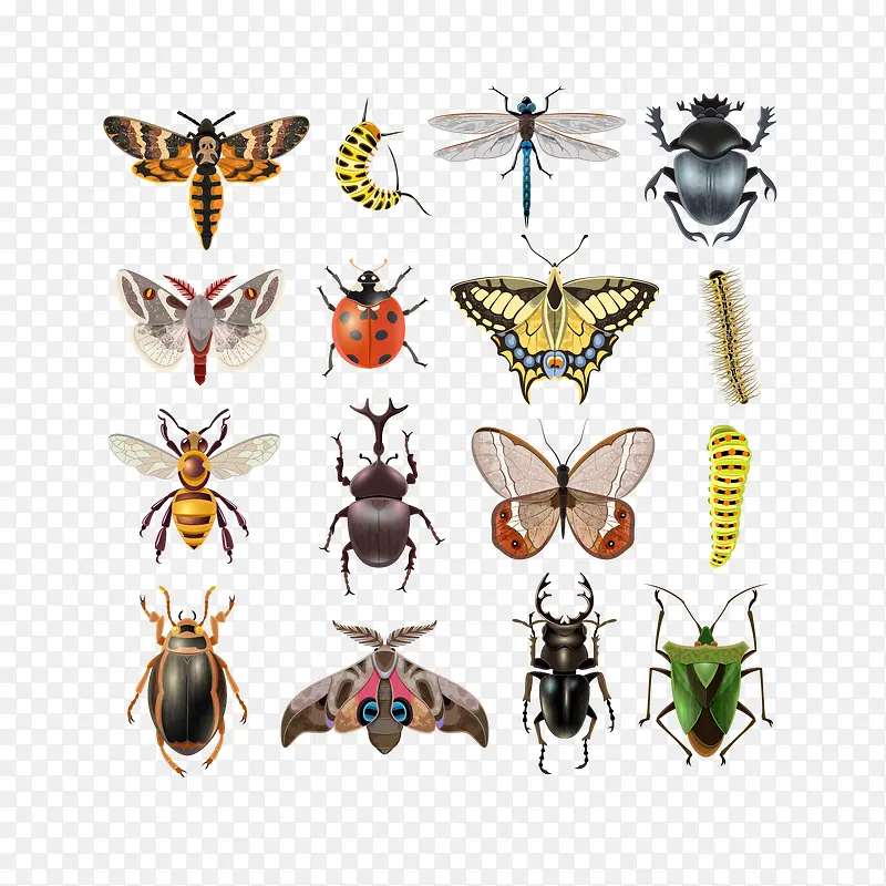 ʸ������Ԫ��-������