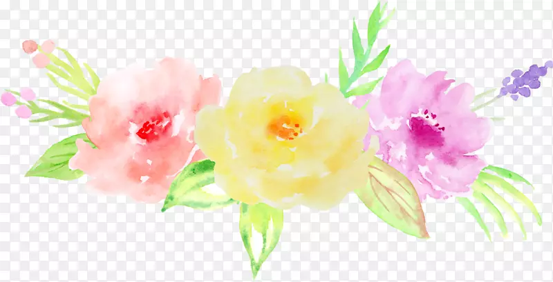 ˮ�ʻ�������Ƽ�����-������